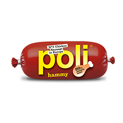 Poli hammy