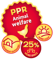 PPR badge ikone en