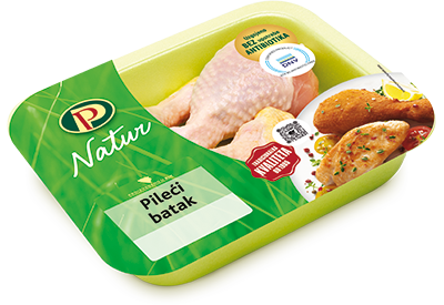 Natur Pilecuei batak Antibiotic2