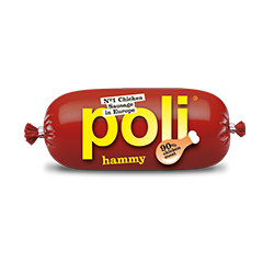 Poli hammy